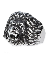 Ring 'Löwenkopf' - vergleichen und g&uuml;nstig kaufen